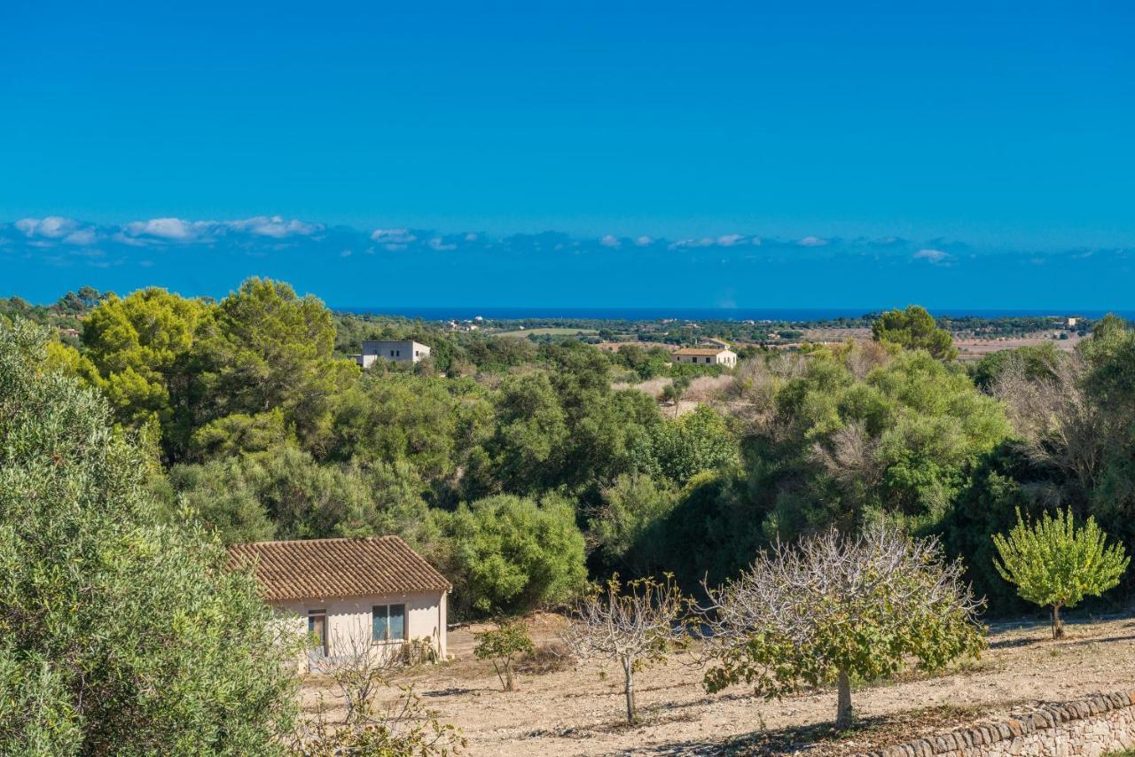 Finca Son Colom Manacor  Luaran gambar